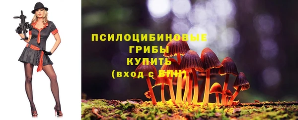 СК Армянск
