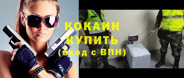 твердый Аркадак