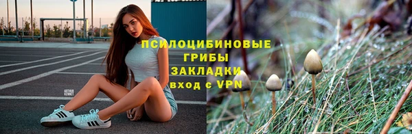 твердый Аркадак