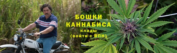 твердый Аркадак